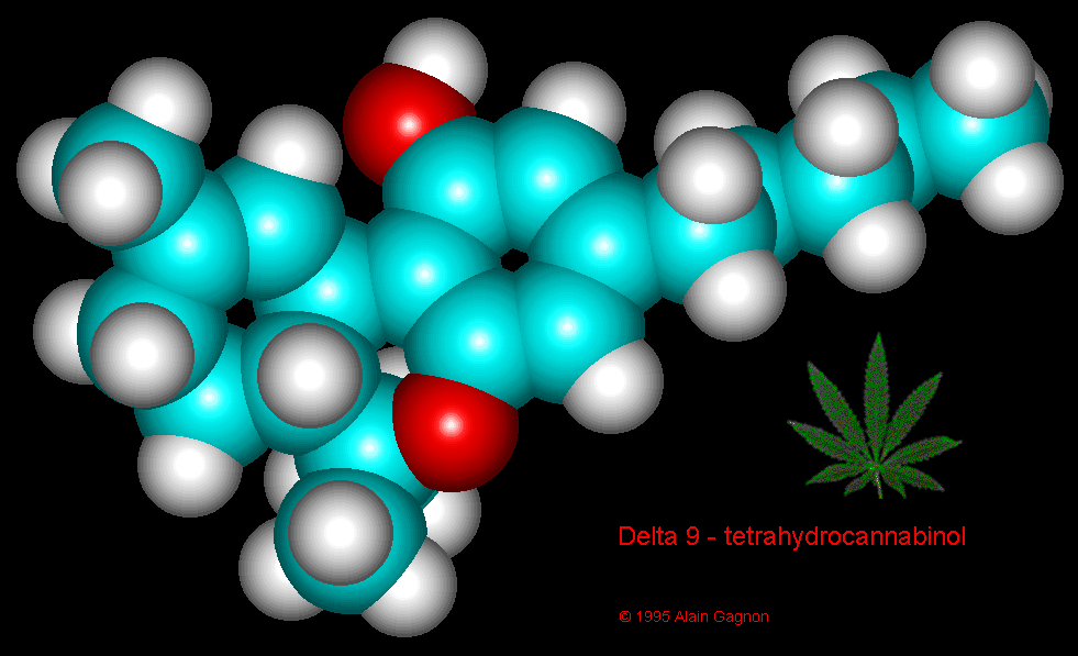 Thc Molecule